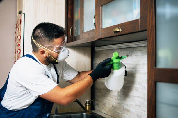 Best Commercial Pest Control Services  in Frankenmuth, MI