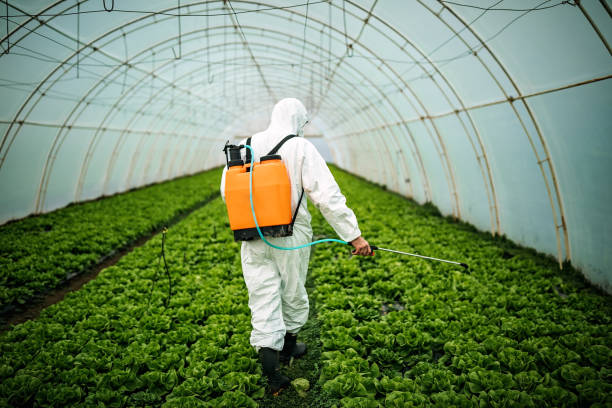 Best Affordable Pest Control Services  in Frankenmuth, MI