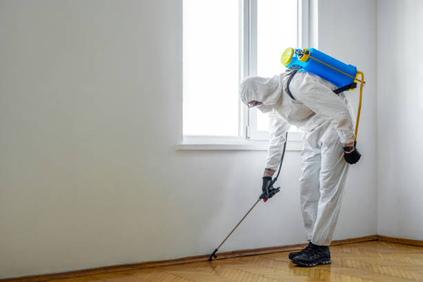 Best Affordable Pest Control Services  in Frankenmuth, MI