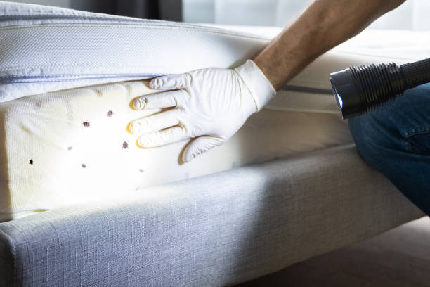 Best Pest Prevention Services  in Frankenmuth, MI