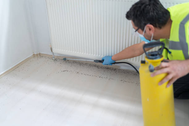 Best Best Pest Control Companies  in Frankenmuth, MI